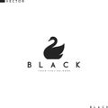 Black swan logo. Isolated bird on white background Royalty Free Stock Photo